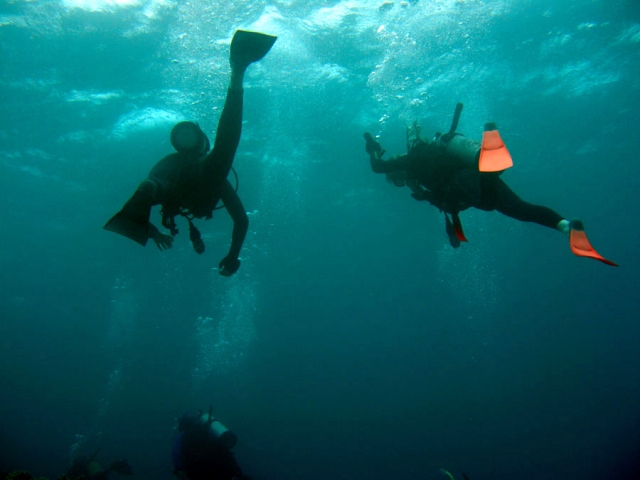Buceo en grupo